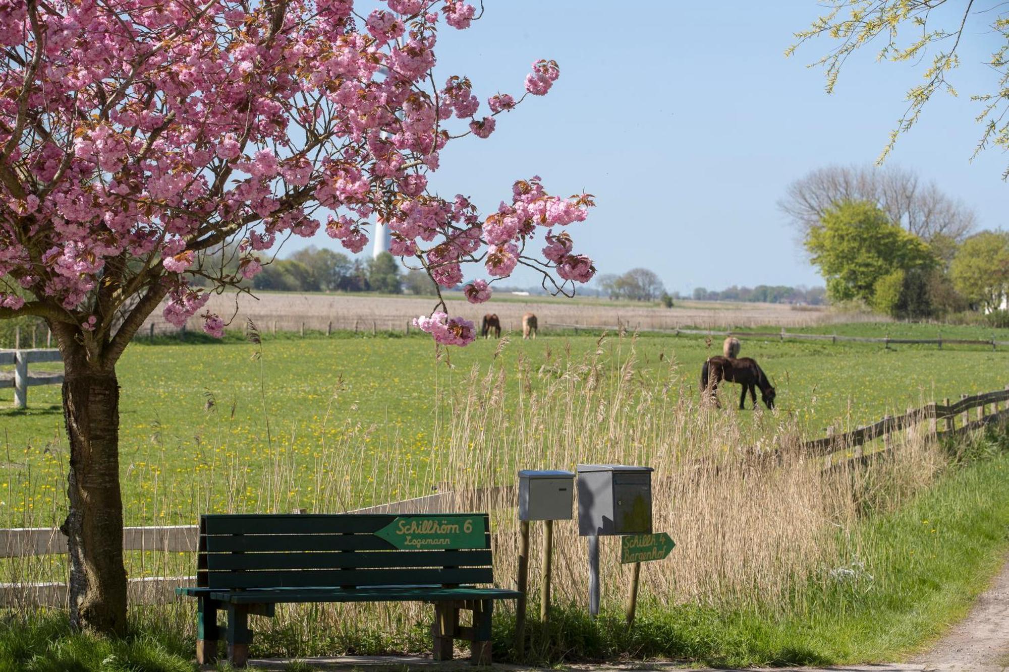 Fischerhaeuschen Am Kurpark Neuharlingersiel Bagian luar foto